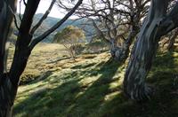 Image: Valley
